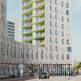 Lĩnh vực kinh doanh khác